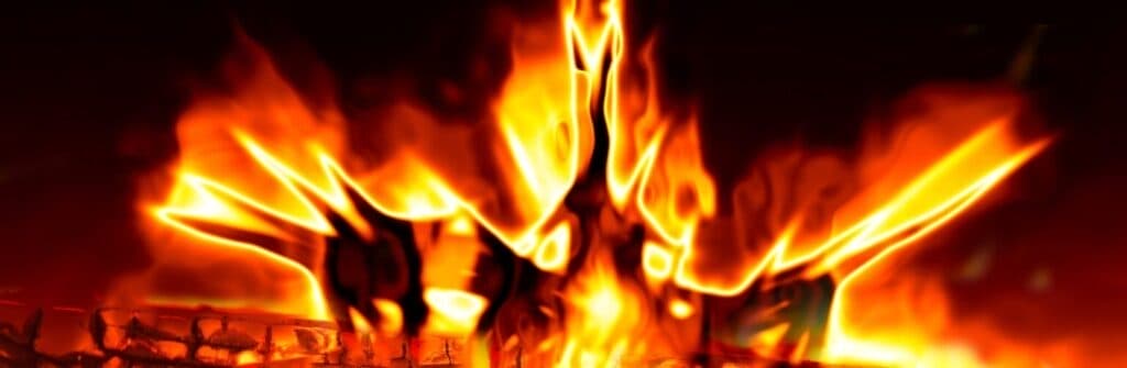 Phoenix Domain Fire Banner