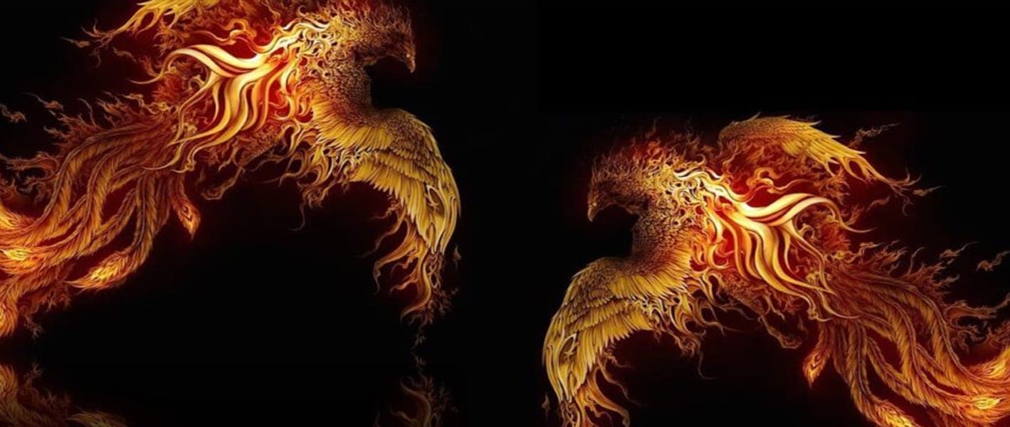 The Phoenix Domain: Φωτιά & Ζωή