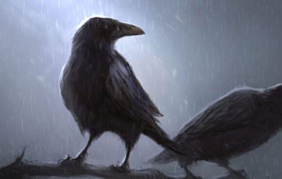Interview με το Corvus Project